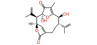 Kallolide D